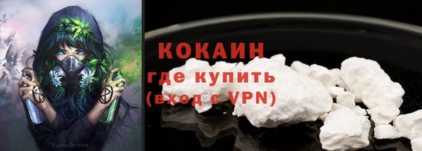 индика Ростов