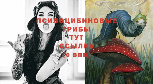 индика Ростов