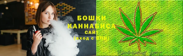 шишки Алексеевка