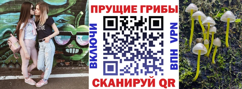 Галлюциногенные грибы прущие грибы  Кимры 